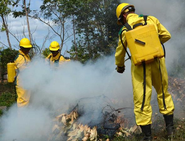 0301 incendio forestal
