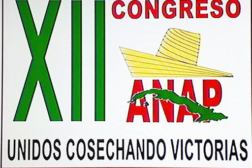 ANAP