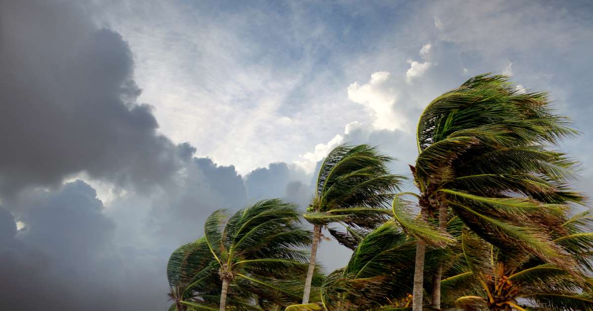 temporada ciclónica