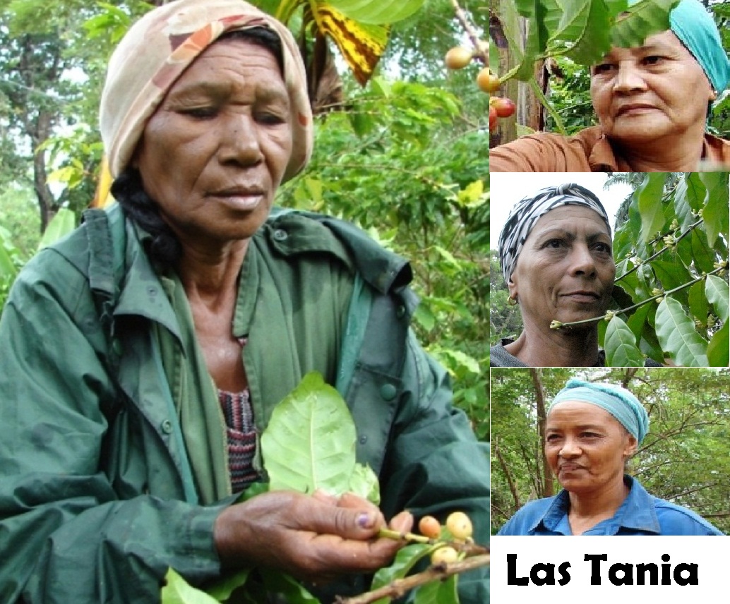 mujeres campesinas5.x70014