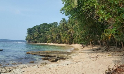 1 arenas playa