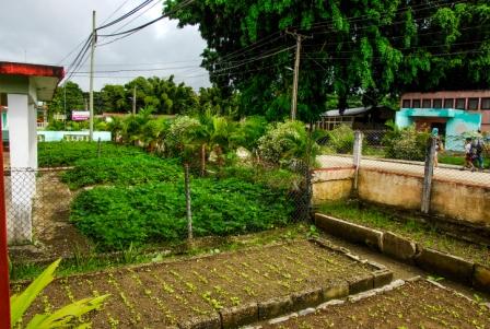 5 portales y frentes de otros organismos se usan para la producción de alimentos