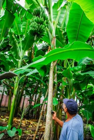 6 Hilder asegurando sus producciones