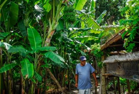 8 Yaterano de pura sepa cuida sus cultivos