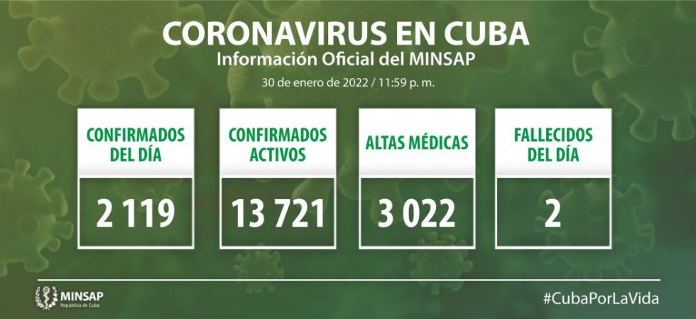 Grafico NUEVO 01 13 980x450