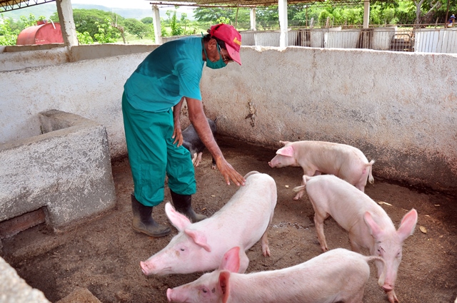 producción aliemtnos escuelas 1