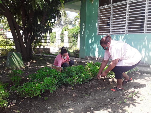 producción aliemtnos escuelas 3