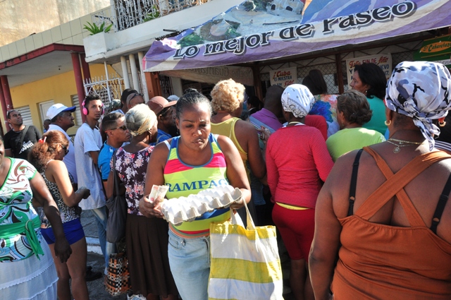 feria agropecuaria 11