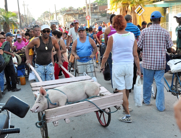 feria agropecuaria 2
