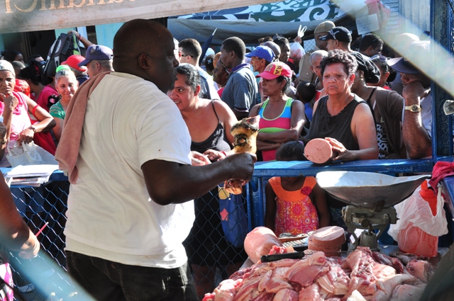 feria agropecuaria 9
