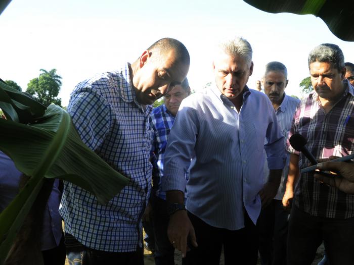 dinaz canel en la isla
