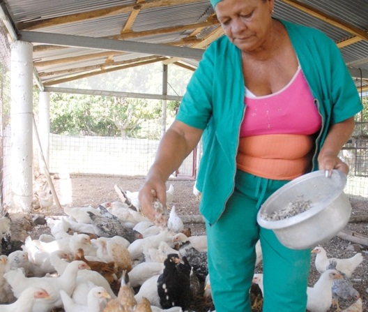 autoabastecimiento de carne 1 copia