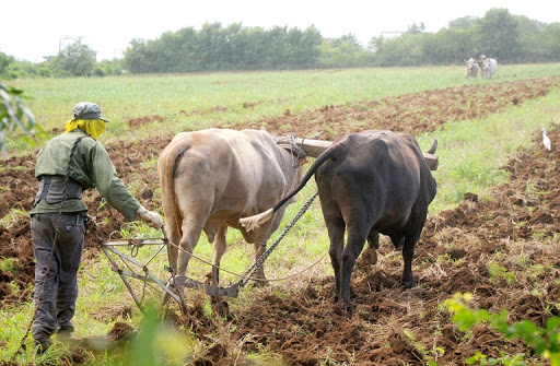 campesinos nuevas medidas Cuba