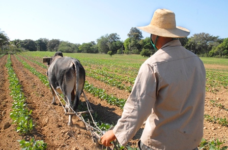 Empleo 2021 Guantánamo 3