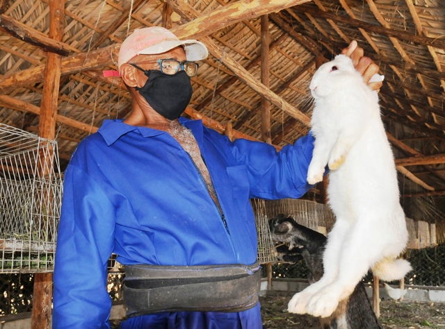 campesinos Cuba 2021 1