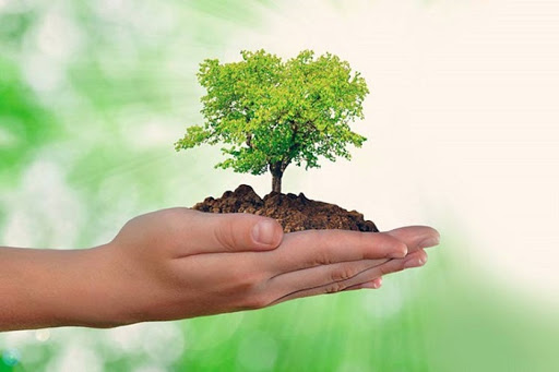 premio medio ambiente
