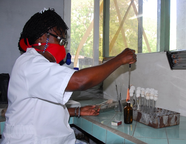 Suelos Guantánamo 2021 3