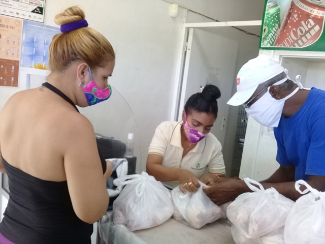 Villa Toa ejemplo 2021 2