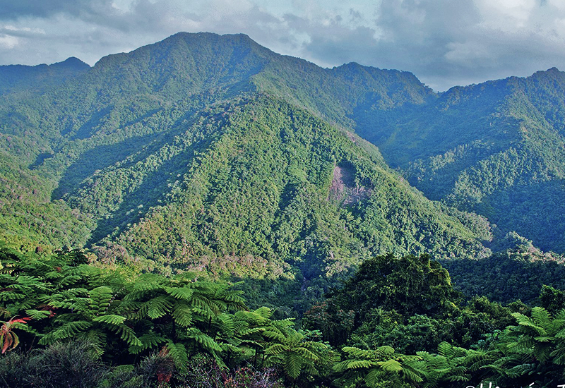 parque nacional Alejandro de Humbolt