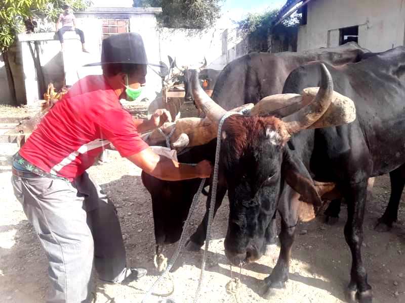 Demandan integración