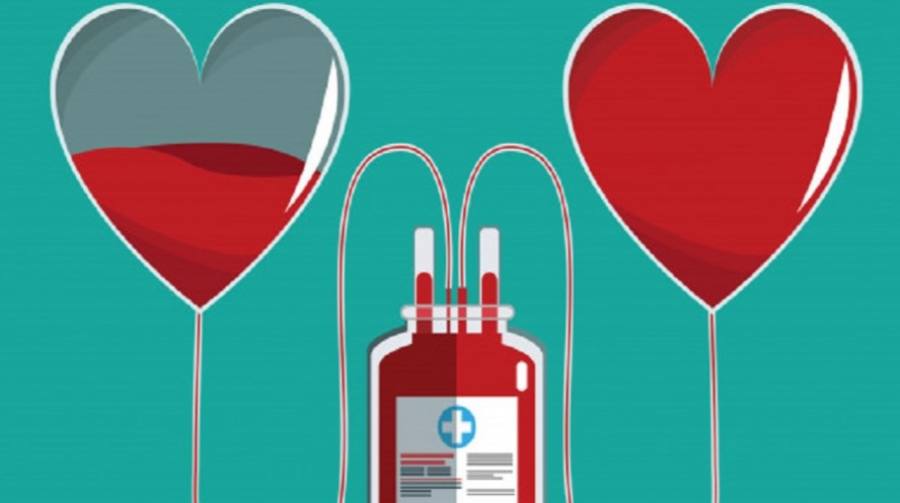 9607737a6e0c0124174b2cd427a9ba37 XL