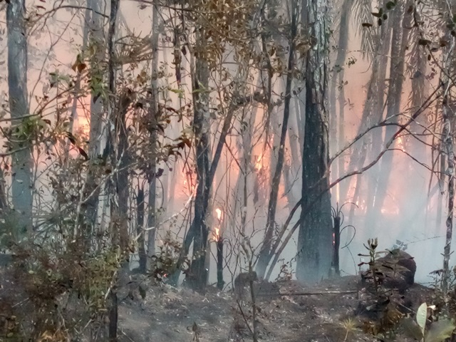 incendio Yateras 2021 1