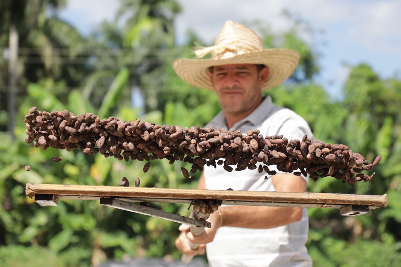 empresa agroforestal baracoa2021 1