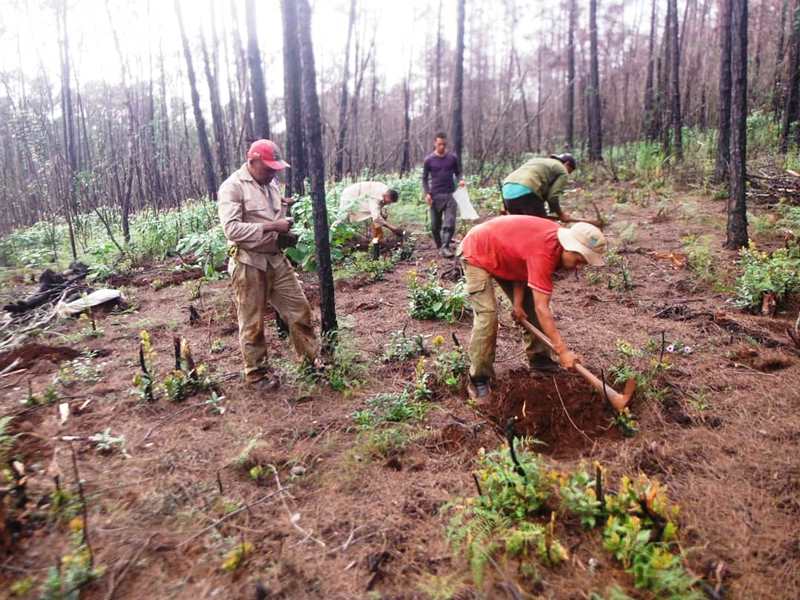 incendio entrevista2
