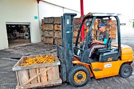 fbrica valle caujer mango1