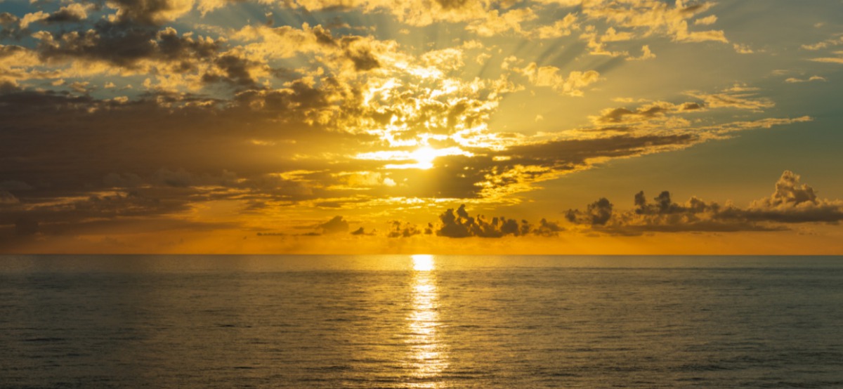 alba amanecer xxxl 1