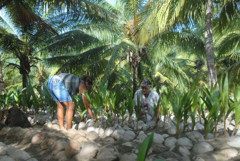 marrero en baracoa2