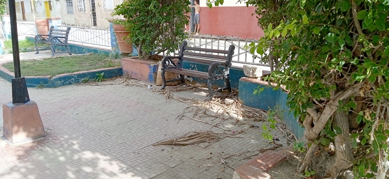 desenfoque parque