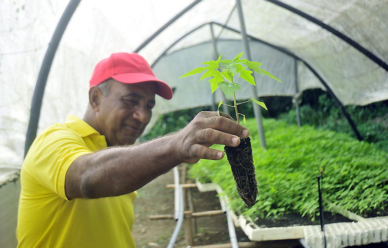 agricultura ecologia 1