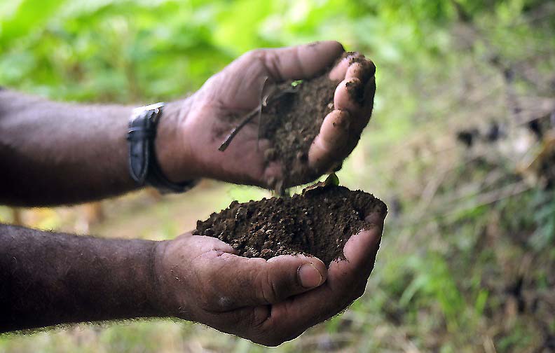 agricultura ecologia 2