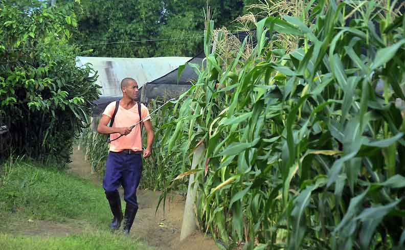 agricultura ecologia 3