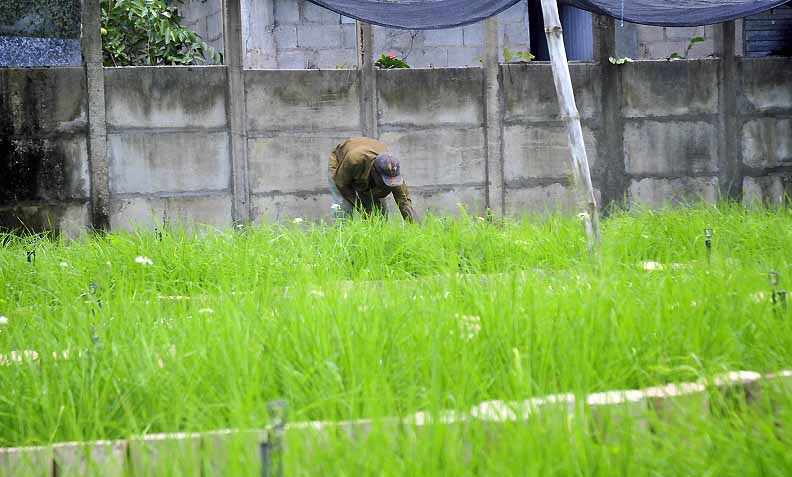 agricultura ecologia 5