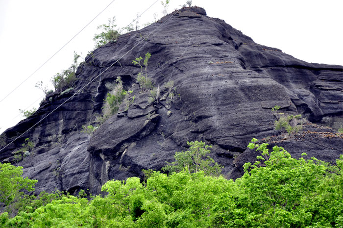 monitongos guantánamo 007