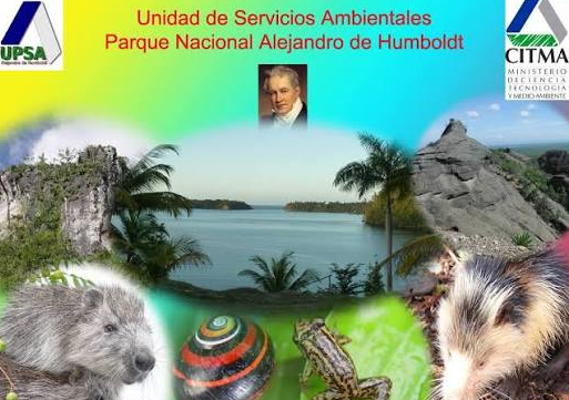 portada citma