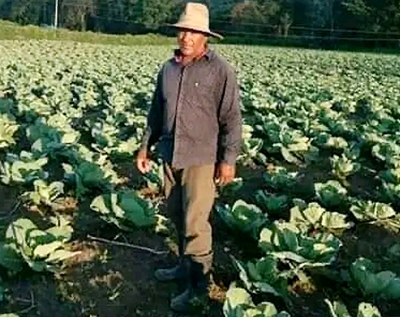 Copia Campesino Soriano