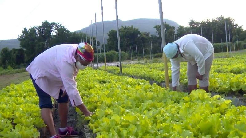 comunidades vulnerables3