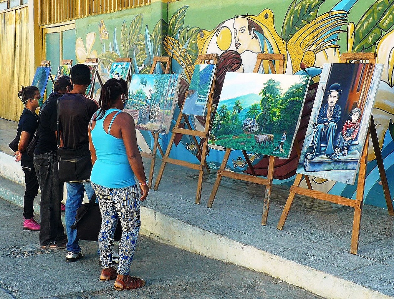 descamisados plastica