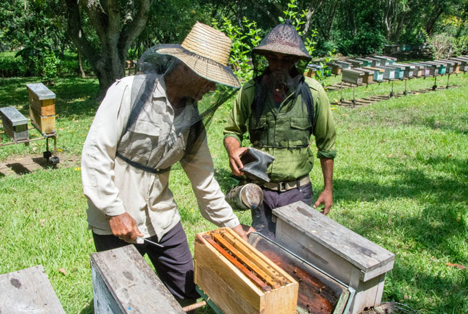 apicultores Foto La demajagua