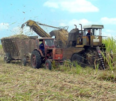 zafra azucar 3024288