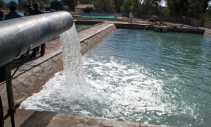 agua