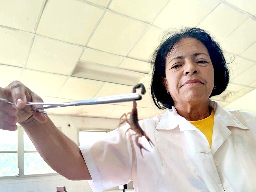 Una mujer Silvia Gutiérrez Córdoba