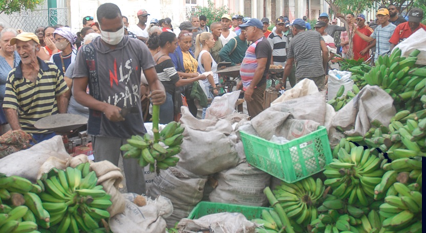 feria reportaje