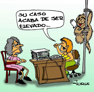burocracia periodico Ahora