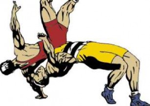 20120211004010 lucha logo 732 thumb307 
