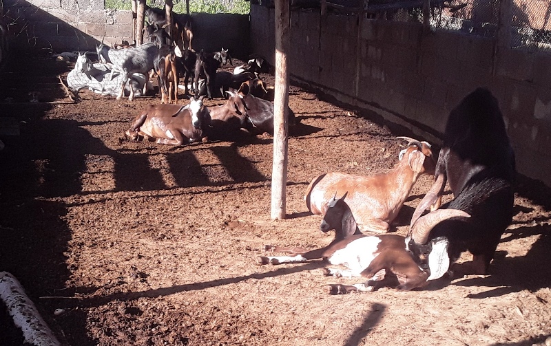 Maray desde Marbella 2