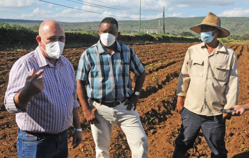Morales Ojeda en Niceto Pérez 6